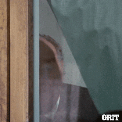 Creepin In The Window GIF