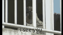 Creeping Guy I See You Telescope Zoom GIF