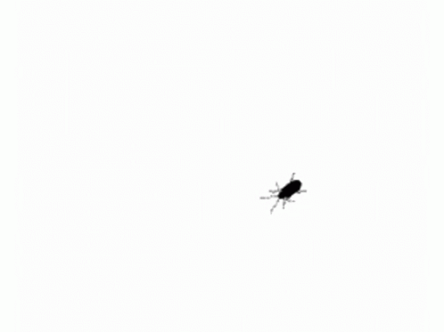 Creepy Animated Bug GIF