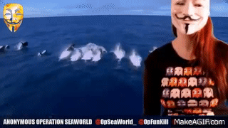 Creepy Anonymous Hacker Girl Sea Shark GIF