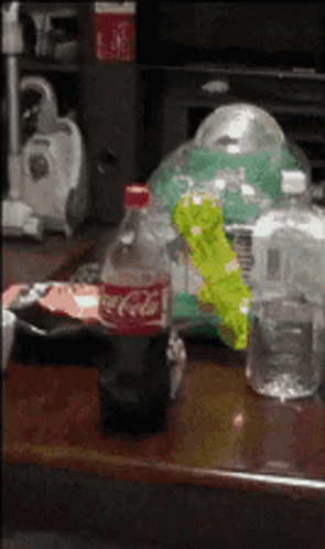 Creepy Cute Hamster Stalker GIF