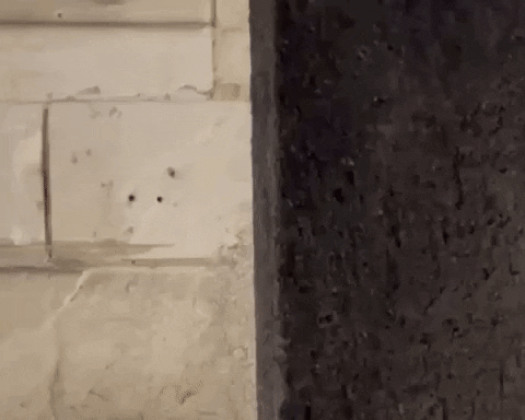 Creepy Guy Suspicious Look GIF