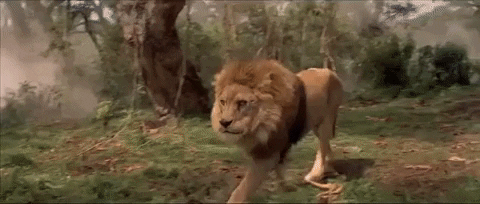 Creepy Lion Walk GIF