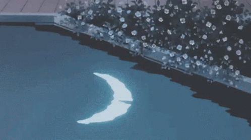 Crescent Moon Floating in Pool Water