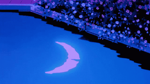 Crescent Moon Reflection In Water GIF