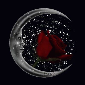 Crescent Moon With Face And Red Rose GIF