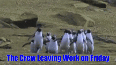 Crew Leaving Work On Friday Penguins GIF