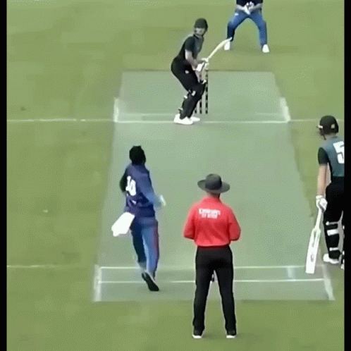 Cricket Field Player Tumbling GIF