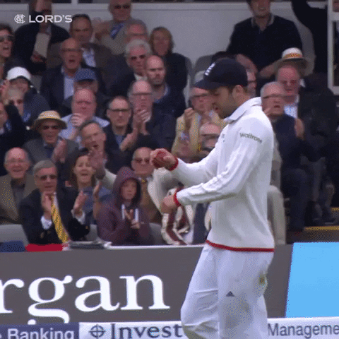 Cricket Fielder Dances Upon Catching The Ball GIF