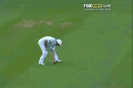Cricket Fielder Quickly Throws The Ball Back GIF