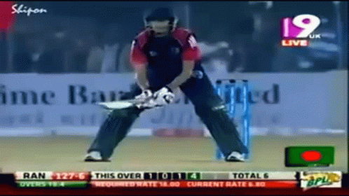 Cricket Game Played 19 UK