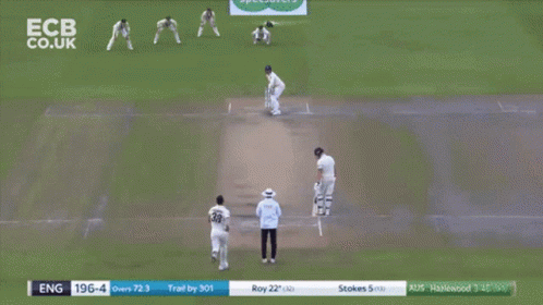 Cricket Jason Roy Celebrates GIF