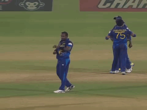 Cricket Player Paused Game GIF