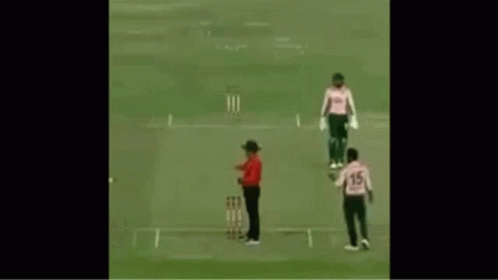 Cricket Players Standing on Field