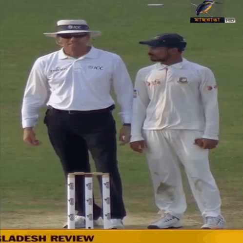 Cricket Umpire Gestures Imitated By Player GIF