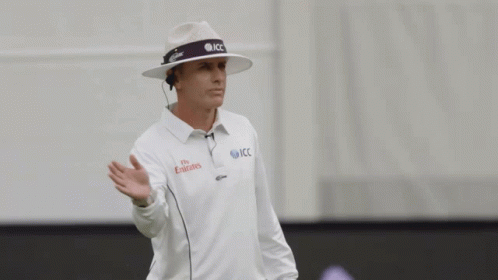 Cricket Umpire Richard Kettleborough Four Gesture GIF