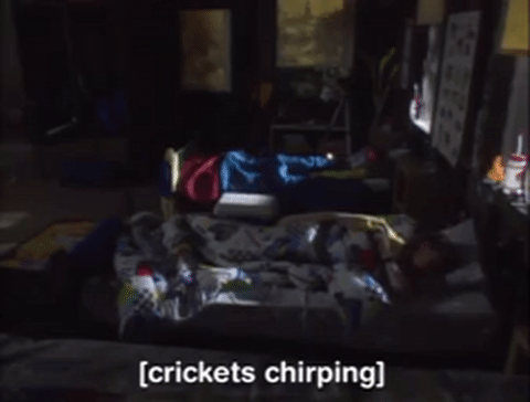 Crickets Chirping Bed Time GIF