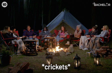 Crickets Chirping Camp Fire GIF
