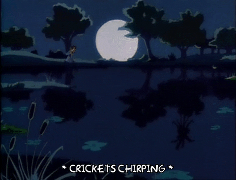 Crickets Chirping In The Moon Light GIF