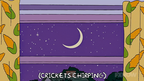 Crickets Chirping Moon Behind The Window GIF