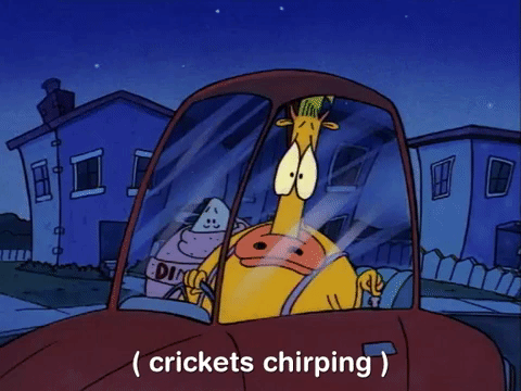 Crickets Chirping Rocko Inside Car GIF