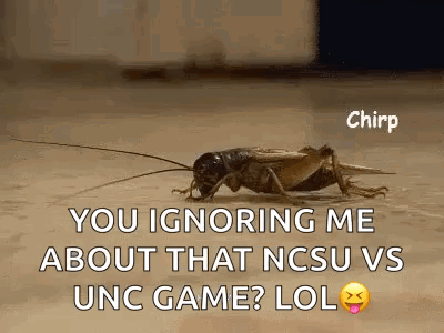Crickets Chirping You Ignoring Me GIF