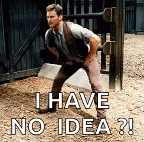 Cris Pratt Have No Idea GIF