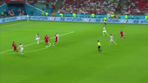 Cristiano Vs Pepe Portugal GIF
