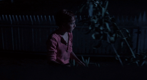Critters Hiding In The Dark GIF