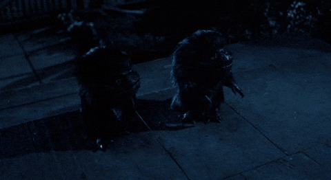Critters Planning Together GIF
