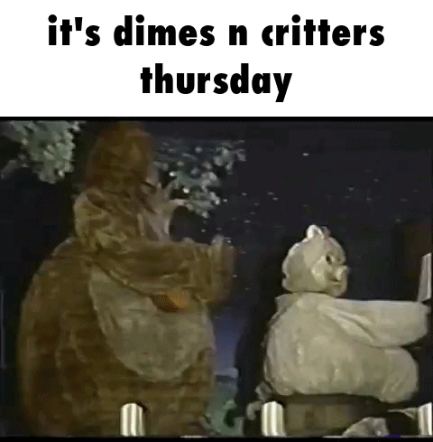 Critters Thursday Animals Playing Instruments GIF