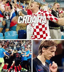 Croatia Fifa World Cup Celebration GIF