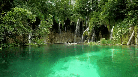 Croatia Plitvice Lakes National Park GIF