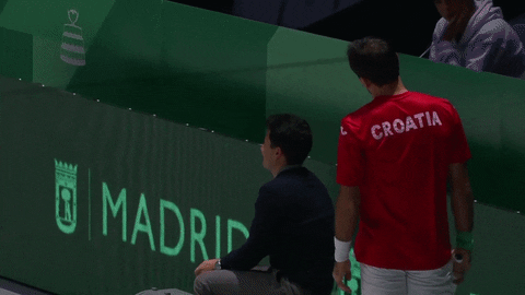 Croatian Tennis Player Umpire GIF
