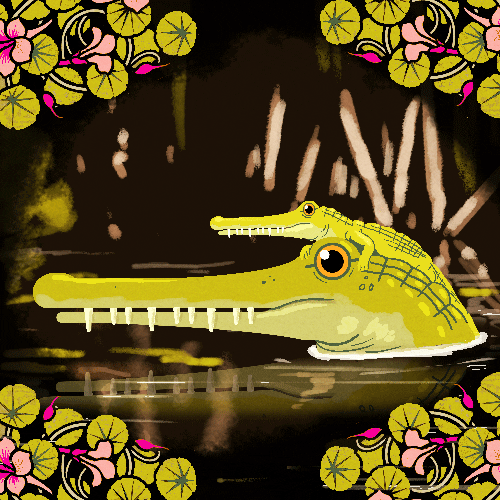 Crocodile Crocs Family Blinking Swamp GIF