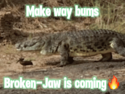 Crocodile Make Way Bums Broken-Jaw Is Coming GIF