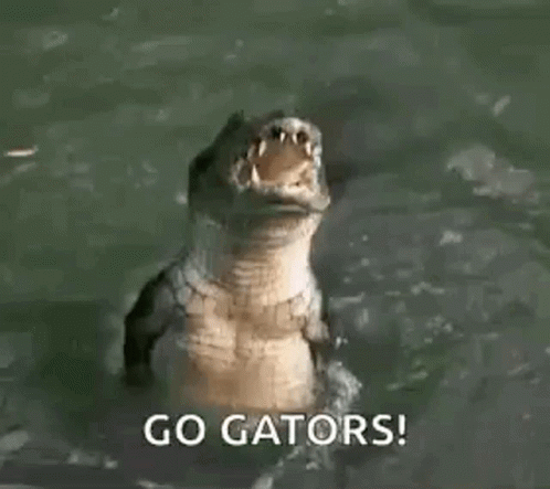Crocodile With Open Mouth And Go Gators GIF