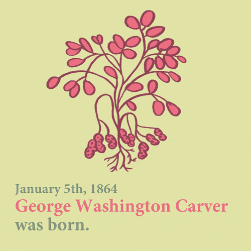 Crop George Washington Carver GIF
