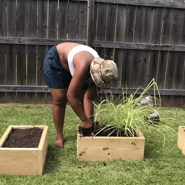 Crop Planting On Sunny Day GIF