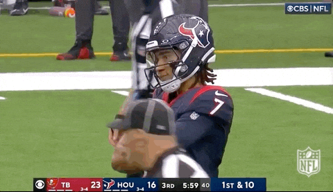 Cross Arms Texans Player GIF