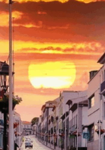 Crosswalk Sign At Sunset GIF
