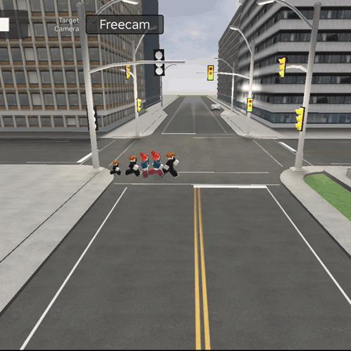 Crosswalk With Freecam Sign