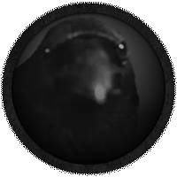 Crow Circle Avatar GIF