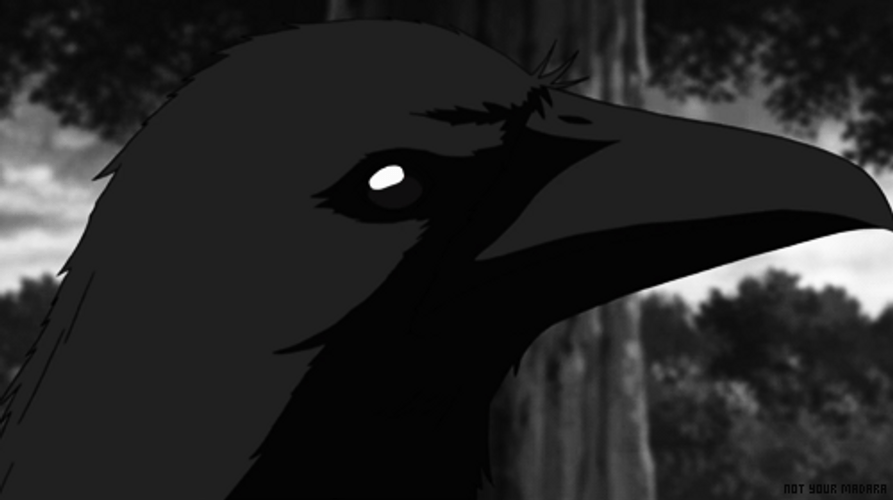 RAID: Nine Tailed Fox ♪ - Page 3 Crow-with-sharingan-dpunnr6hbv8hd3a0
