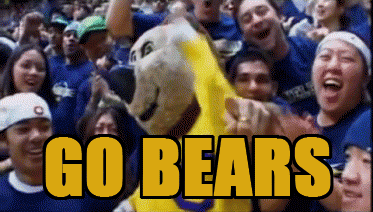 Crowd Around Bear Mascot Go Bears GIF