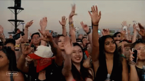Crowd At Coachella Concert GIF