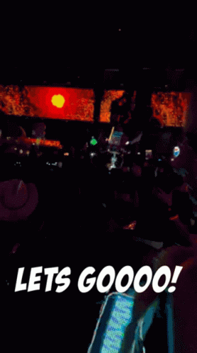 Crowd at Concert Lets Go