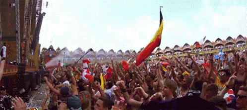 Crowd At Concert Man Holding Raven Flag GIF