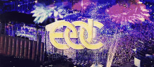 Crowd At Concert With EDC Logo GIF