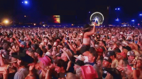 Crowd At Concert With Ferris Wheel GIF